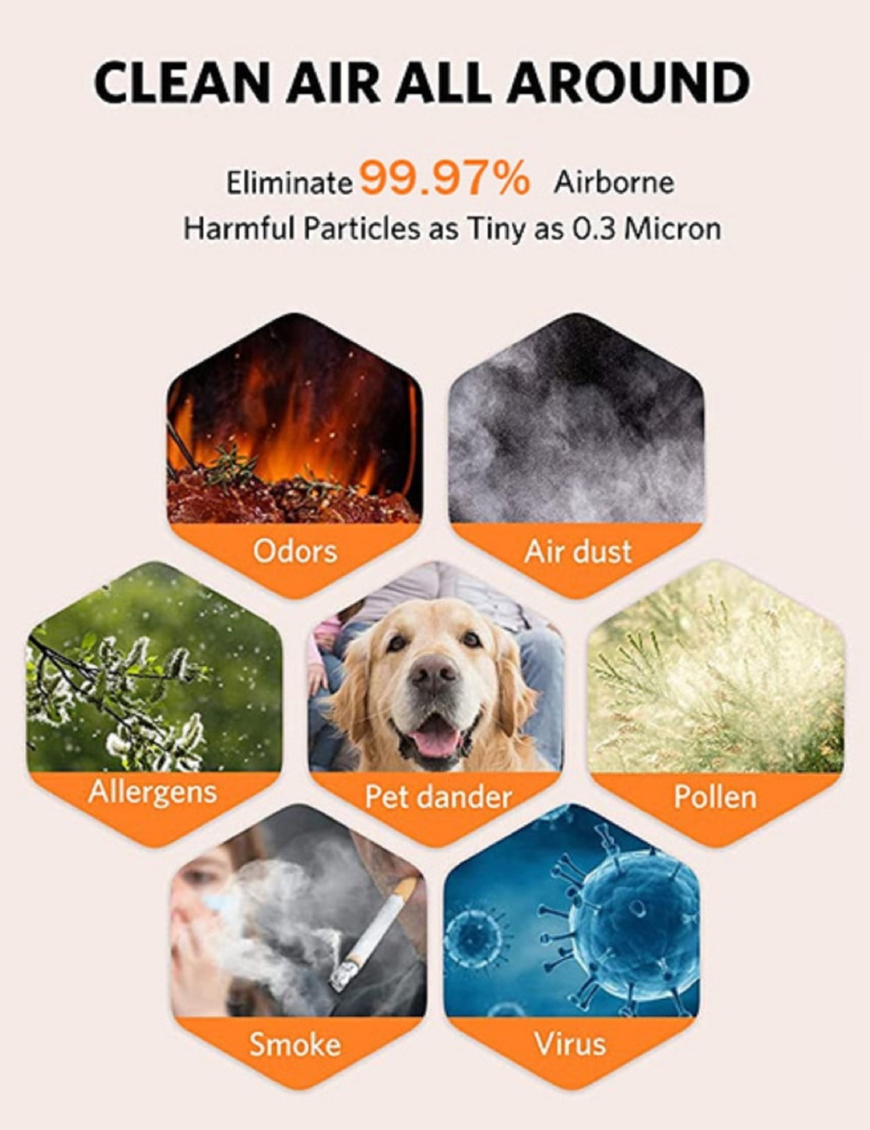 Air Purifier for Bedroom, H13 HEPA Filter with Sleep Mode, 24dB Quiet 360 Degree Filtration, Portable Pet Dander Allergen Cleaner for Home Office and Travel