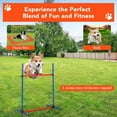 thumbnail image 6 of Yeshouse Sunvasagoo Dog Agility Course Backyard Set, 87-Piece Dog Obstacle Course Training Starter Kit with Tunnel, Adjustable Dog Hoop,Weave Poles, Jump Ring, Pause Box, Toy Balls and Storage Bag, 6 of 6