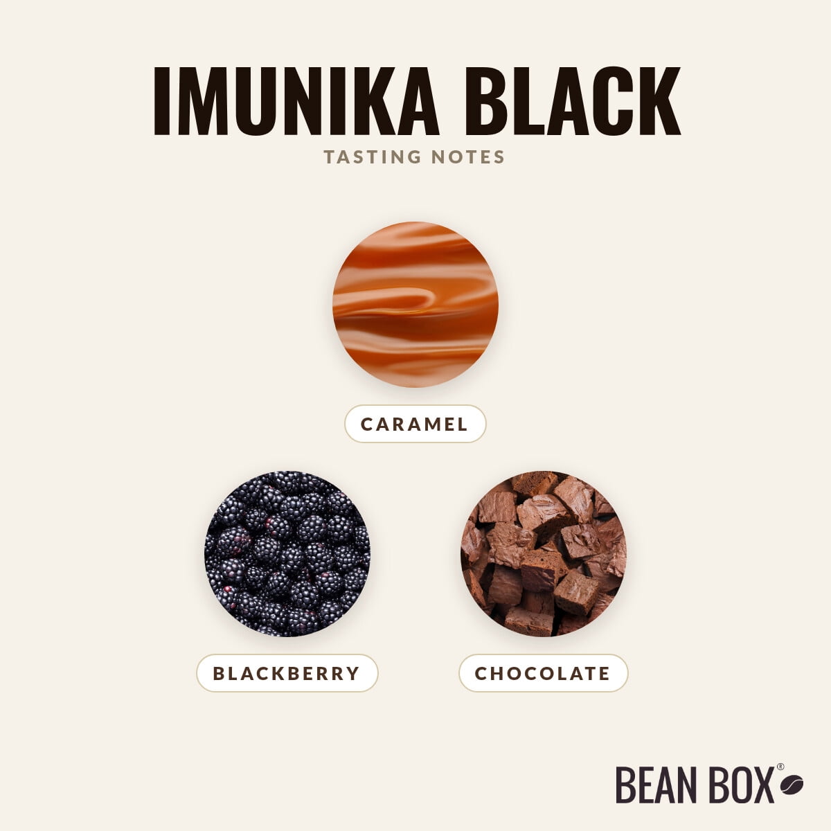 Imunika Black - Roasted by Imunika - Whole Bean Coffee - 8oz Bag