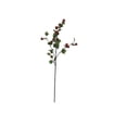 thumbnail image 1 of Vickerman FM181703 39 Po. Orange Hop Branch Vaporisateur, 1 of 1
