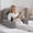 Dark Grey, variant on Reading Pillow for Sitting in Bed Adult, Back Pillow for Bed Sitting up with Arms, Pockets and Cup holder, Sit Up Backrest Pillows for Beds Chair Support, Rest Pillow for Gaming (Light gray, 5PCS)