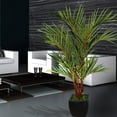 thumbnail image 1 of Laura Ashley Home Lipstick Palm Tree in Planter, 1 of 2