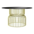 thumbnail image 2 of Furniture of America Trila Glass Top Round Dining Table in Gold, 2 of 6