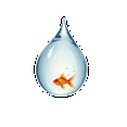 thumbnail image 3 of cartoon Goldfish Theme Stickers, Waterproof Goldfish Theme Sticker for Water Bottle Laptop Phone Cases Planner Skateboard Luggage Helmet Party Favor Decor, Ideal for Adults Teens Teacher Rewards, 3 of 9