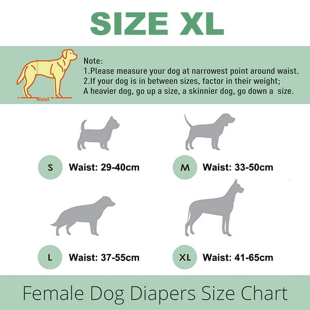 Washable female dog diaper - reusable high-quality hot dog diaper - highly  absorbent dog diaper - pet incontinence female dog diaper with adjustable  buckle 