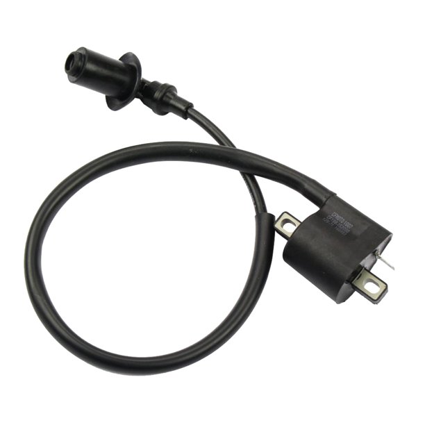 Módulo de Bobina de Encendido Sunnimix Negro # 01852000 para CF500 X5 ATV