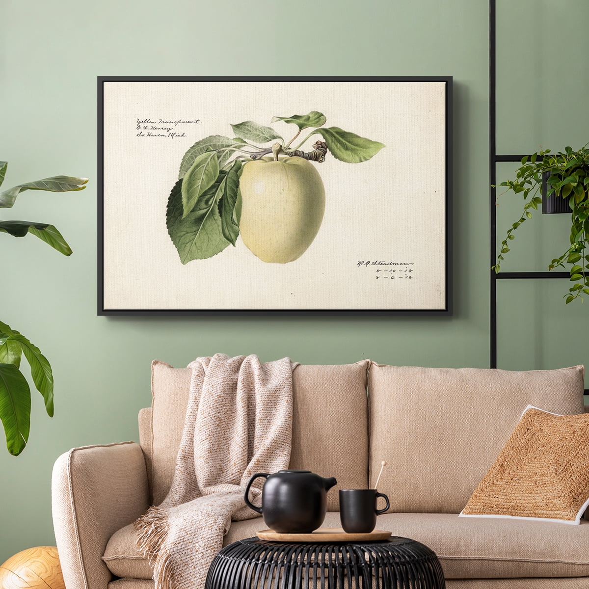 Vintage Botanical Print-XLV By Wexford Home Framed in Black Wood Gallery Wrapped Canvas 27 in. x 41 in.
