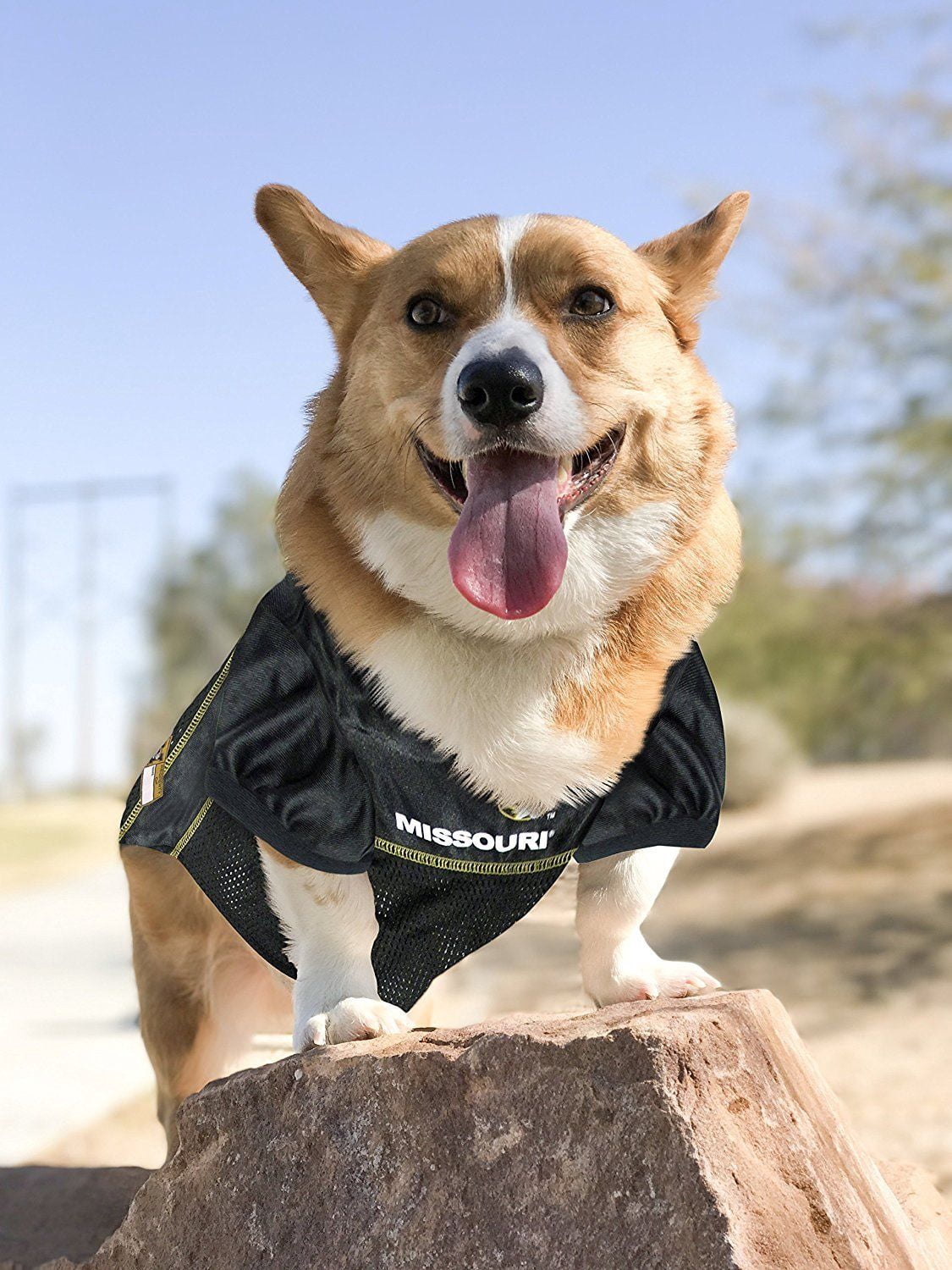 Pets First Collegiate Missouri Tigers Football/Basketball Mesh Jersey for Pet Dog. available in 40+ Teams - Large