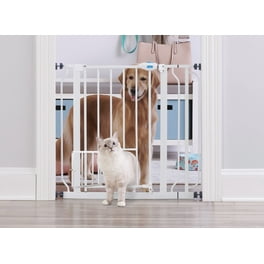 Carlson MINI Expandable Extra Wide Pet Gate with Small Pet Door White 18 31 inches Walmart