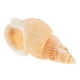 thumbnail image 4 of 100 colgantes de caracola con agujeros para hacer joyas, pulseras, collares, pendientes, decoración costera y otros diseños únicos, 4 of 7