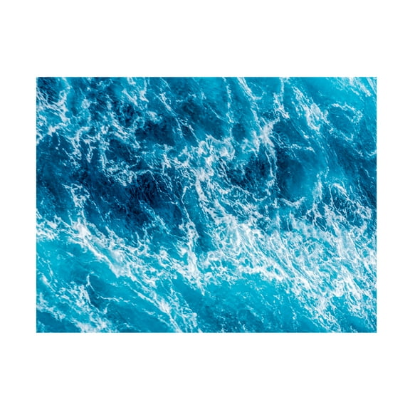 Eva Bane 'Turbulent Tasman Sea III' Canvas Art