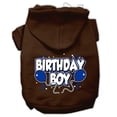 thumbnail image 1 of Birthday Boy Screen Print Pet Hoodies Brown Size Xxxl (20), 1 of 1