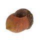 thumbnail image 1 of Maceteresina Avellana Contenedor Jardín De Hadas DIY Sembradora Gloria Resina Tiesto, 1 of 6