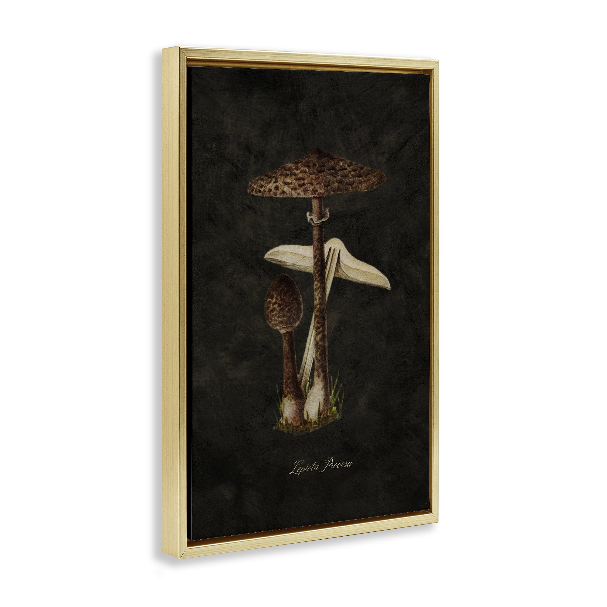 Stupell Industries Dark Woodland Mushroom Plants & Flowers Painting Gold Floater Framed Canvas Art Print Wall Art, 17 x 25