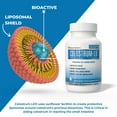 thumbnail image 6 of Colostrum-LD 480 mg Capsules with Proprietary Liposomal Delivery (LD) Technology for up to 1500% Better Bioavailability than Regular Bovine Colostrum, 6 of 8