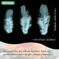 thumbnail image 3 of Uxcell 100 Pack Feathers for Crafting Light Blue 1.57-3.15 inch Natural Fluffy Feathers Plume for Wedding Decorations, 3 of 6