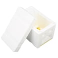 thumbnail image 1 of Caja de reina de espuma, jaula de reina de colmena de espuma de apareamiento de abejas, Mini cajas de cría de reina para apicultura YUNYI BRAND  Deportes, 1 of 8