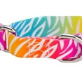 thumbnail image 5 of Country Brook Petz® Fashion Zebra Martingale Dog Collar, Small, 5 of 5