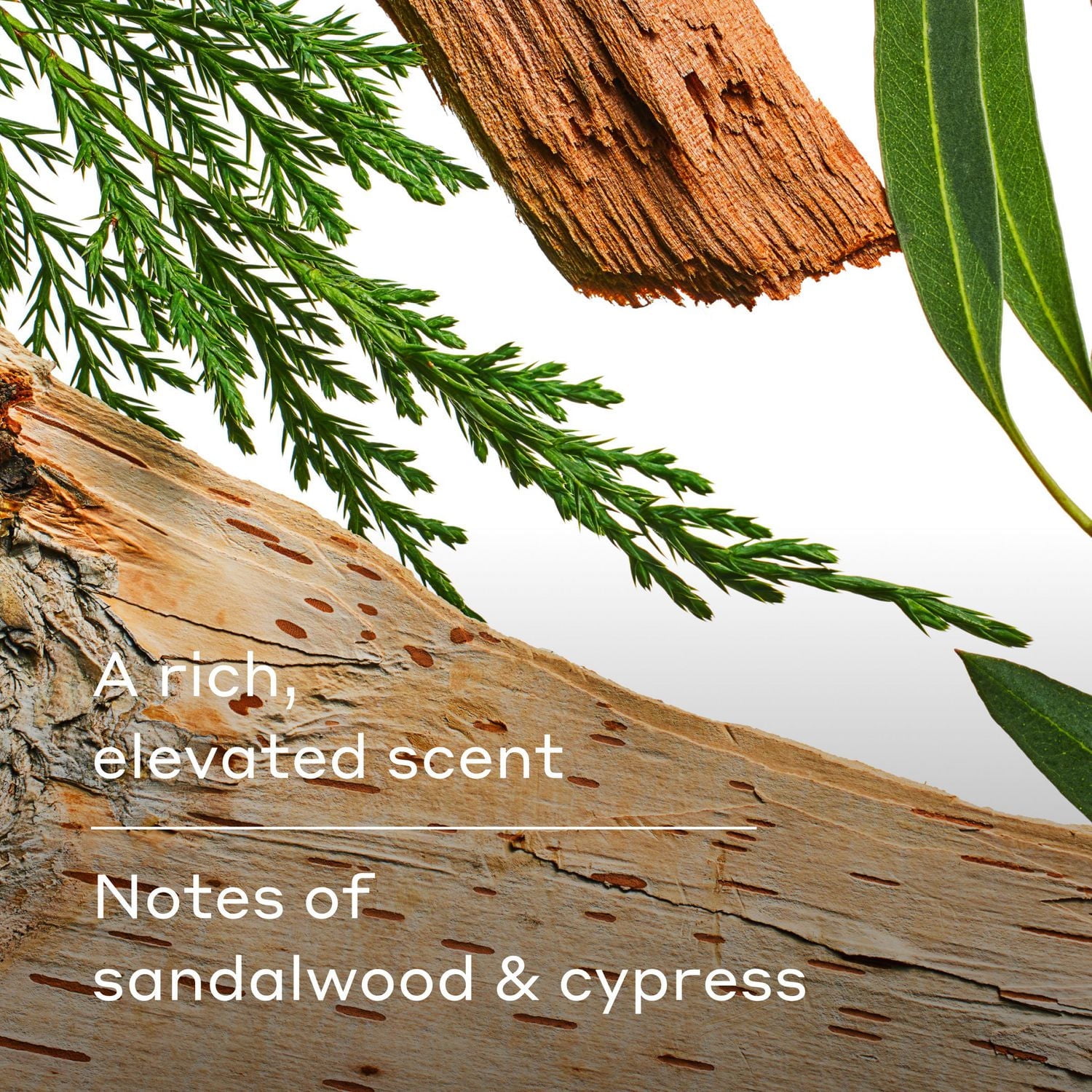 Harry's Cleansing Wildlands Body Wash, 532 mL, Wildlands