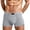 Light Gray, variant on Men's Underwear Briefs Solid Color Breathable Mid Rise Shorts Underpants