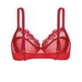 thumbnail image 3 of Deyllo Women's Sheer Lace Non Padded Full Cup Underwire Plus Size Bra, Red 34DD, 3 of 6