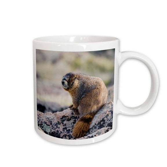 3drose, Yellow-bellied Marmot Wildlife, Rocky Mountain Np - Na02 Rnu0850 - Rolf Nussbaumer, 15oz Mug