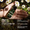 thumbnail image 3 of Aceite esencial de manzanilla alemana Gya Labs, 10 ml, 100% orgánico, 3 of 7