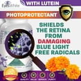 thumbnail image 2 of EyesWhite - Eye Whitening Supplement for Bright, Radiant Eyes, 2 of 8
