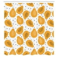thumbnail image 3 of Ambesonne Summer Orange Shower Curtain, Papaya and Art, 69"Wx70"L, Pale Orange Black, 3 of 5