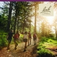 thumbnail image 4 of Bach Original Flower Remedies, Water Violet - 20 mL Dropper, 4 of 6