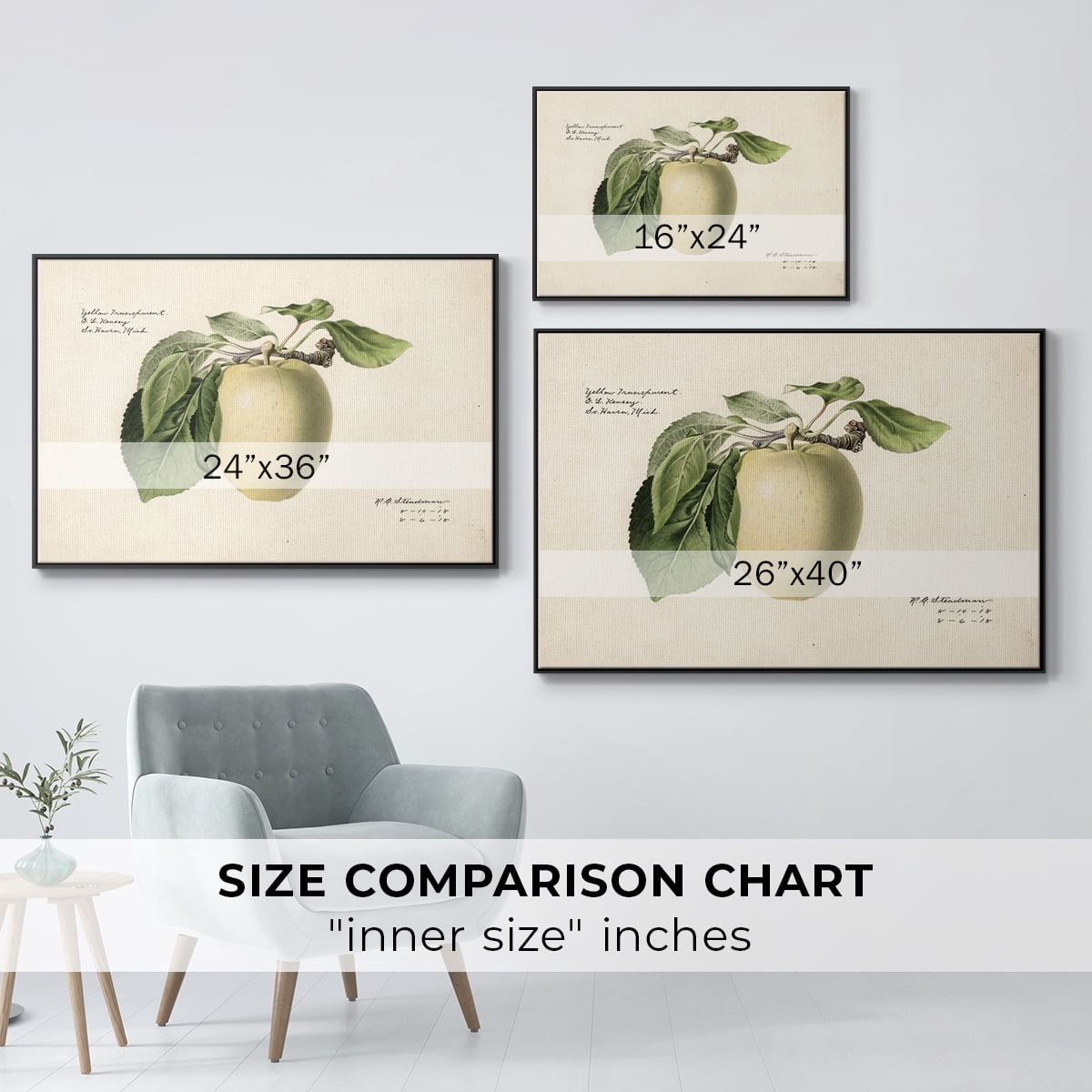 Vintage Botanical Print-XLV By Wexford Home Framed in Black Wood Gallery Wrapped Canvas 27 in. x 41 in.