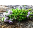 thumbnail image 6 of 3000 SUMMER SAVORY Satureja Hortensis Herb Purple Flower Seeds, 6 of 7