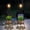 A- 2Pack Black - Edison bulbs, variant on Landscape & Walkway Lights A- 1Pack Black - Edison bulbs