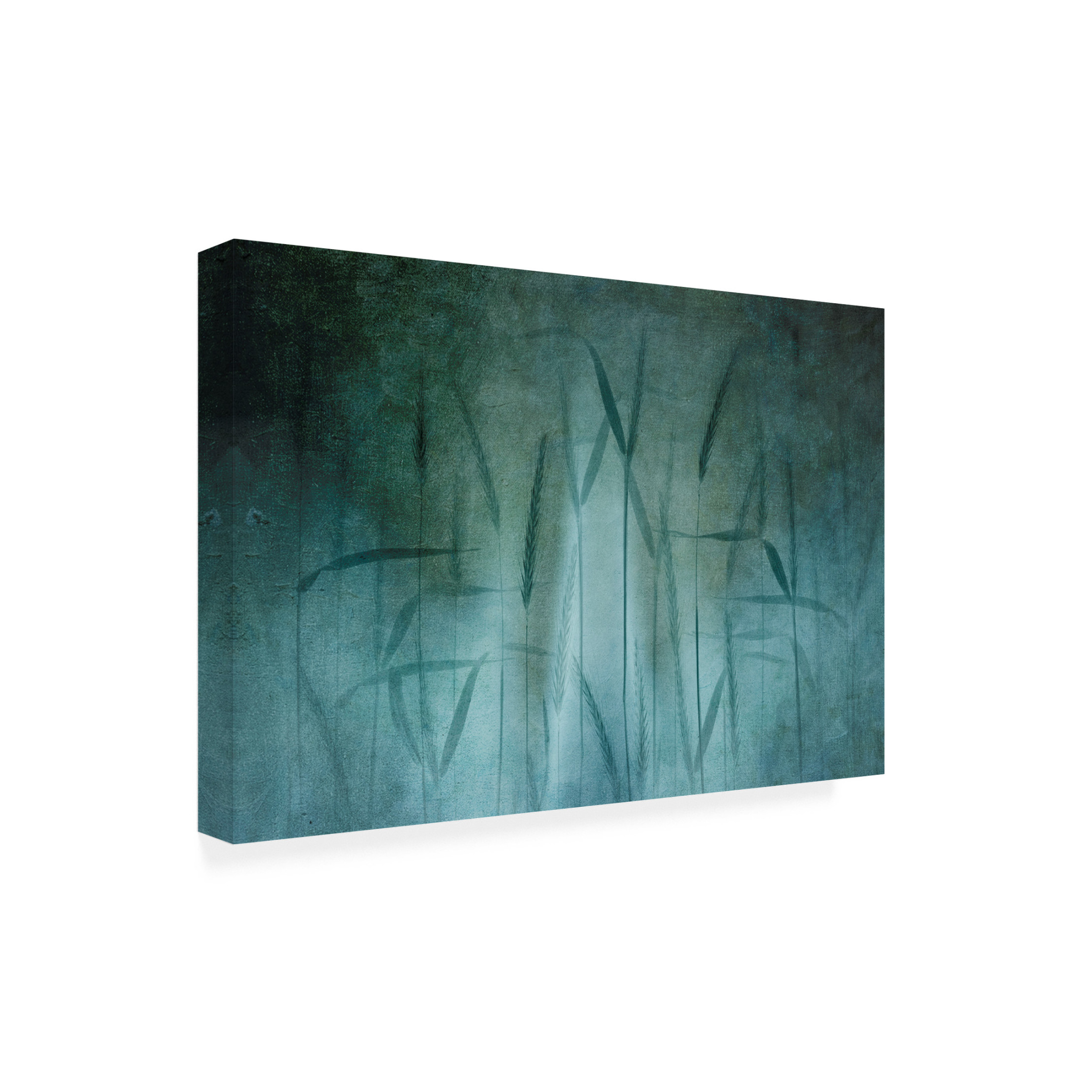 Canvas Wall Art - Greetje van Son 'Grain In Soft Blue' Wall Art for Living Room, Bedroom, or Office Décor by Trademark Fine Art - 32 x 22 Inches