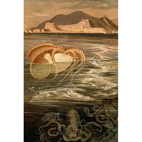 Nautilus- Fine Art Canvas Print (20" x 30")