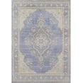 thumbnail image 5 of Momeni Isabella Oriental and Overdyed Traditional Area Rugs, Pink, 5 of 6