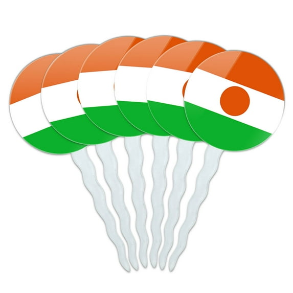 Niger National Country Flag Cupcake Picks Toppers - Set of 6