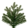 thumbnail image 2 of 6.5 x 52" Washington Fir 2232T, 2 of 2