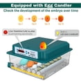 thumbnail image 2 of TOPCHANCES 16 Eggs Incubators for Hatching Eggs Digital Automatic Egg Turner Temp Control with Egg Candler Farm Poultry Incubators, 2 of 6