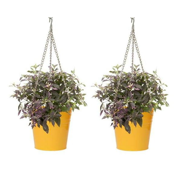 HOUSTON INTERNATIONAL TRADING  6151E SAFF 6151E SAFF S/2 Enameled Galvanized Steel Hanging Planter