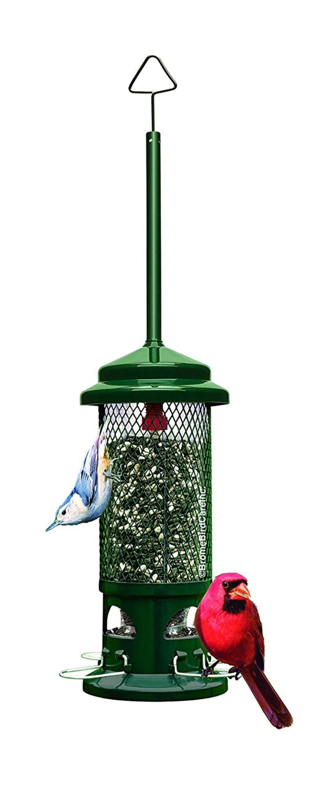 squirrel buster bird feeder squirrel buster bird feeder