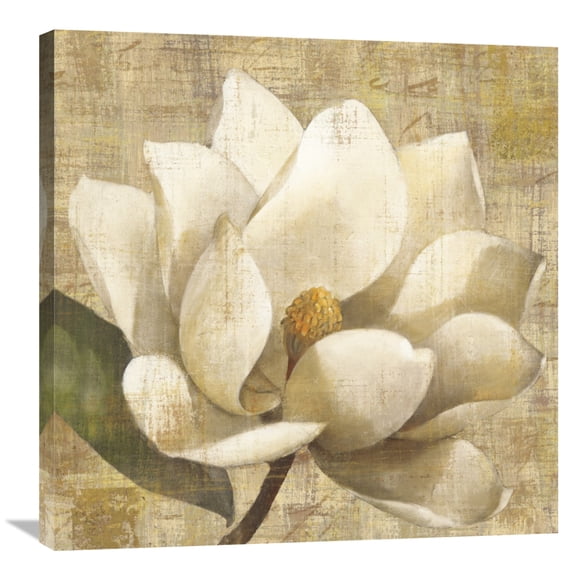 Global Gallery Albena Hristova 'Magnolia Blossom on Script' Canvas Wall Art