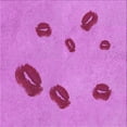 thumbnail image 1 of Ahgly Company Machine Washable Indoor Square Transitional Violet Purple Area Rugs, 5' Square, 1 of 7