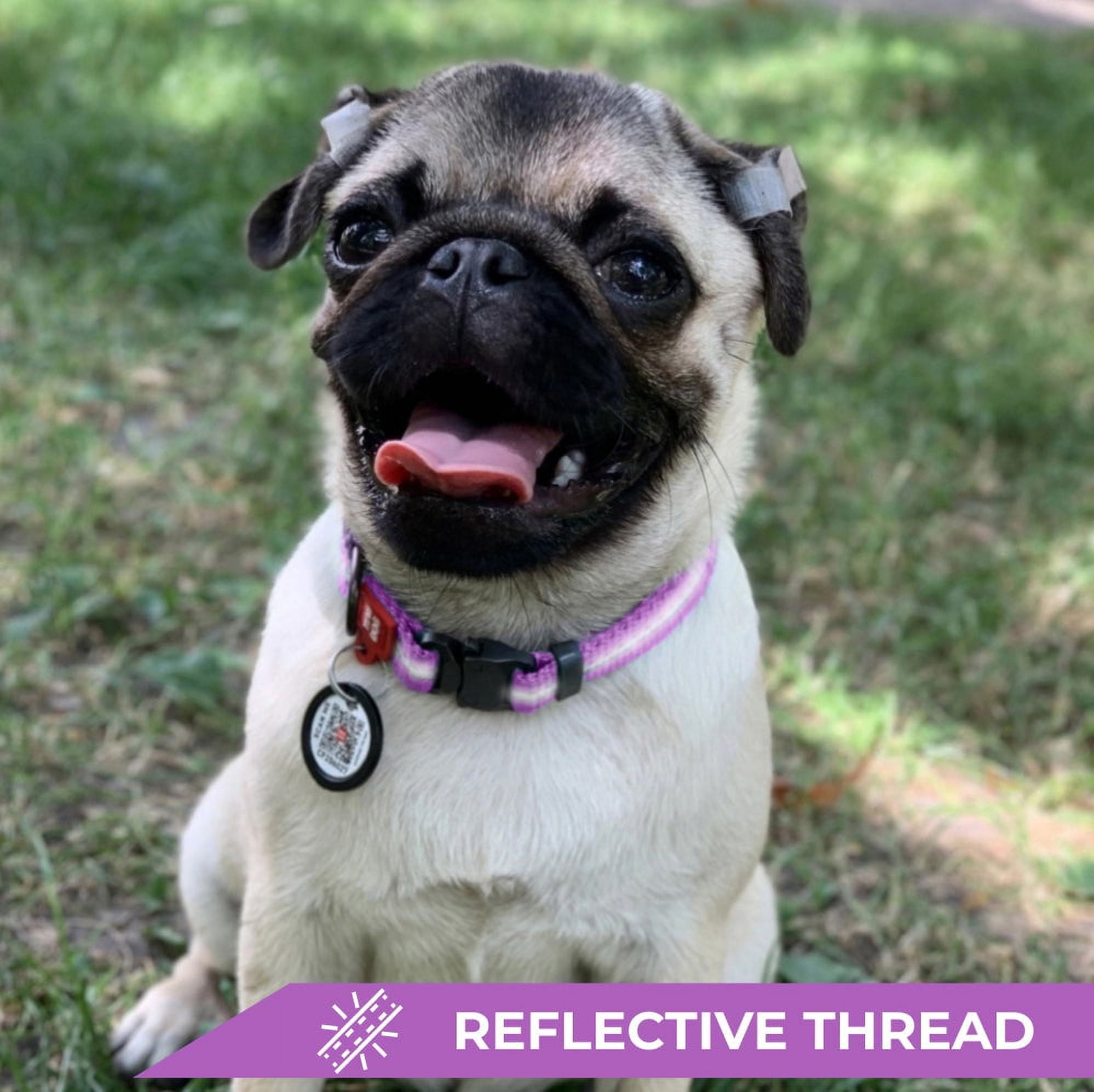 Nylon Reflective Dog Collar | Adjustable Dog Collar for Large, Small & Medium Dogs | Personalized Soft and Fashion Patterns Dog Collars | Boy & Girl Dog Collars with Durable Plastic Buckle - Purple