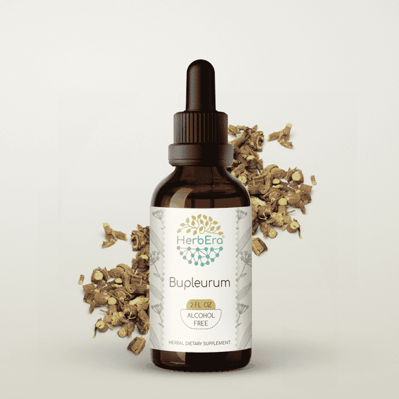 HerbEra Bupleurum Tincture, Herbal Dietary Supplement for Liver Support, Bupleurum (Bupleurum chinense) Dried Root Extract, Natural, Alcohol-Free, Drops 2 oz