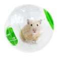 thumbnail image 1 of Labymos Hamster Exercice Balle, Petit animal Hamster Jouet Course Exercice Roue de jogging, Activité de Hamster, 1 of 8