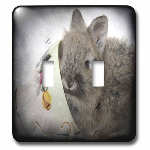 3dRose, Lionhead Bunny in a Teacup, double toggle switch