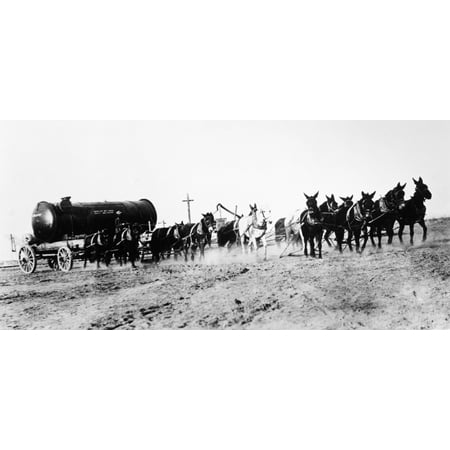 Early Oil Pipeline Nmule Team Used By Shell Oil Company In The Construction Of An Early Pipeline Rolled Canvas Art - (1