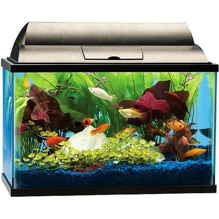 Tetra Aquarium Starter Kit, 5 gal