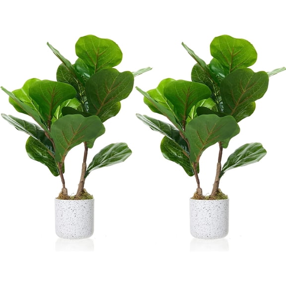 2 Pack Artificial Fiddle Leaf Fig Tree in White Pot, 19.7" Realistic Faux Ficus Lyrata Plants for Home & Office Decor
